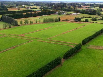 15-kennington-roslyn-bush-road-mill-road