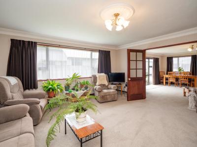 22 Craig Street, Waikiwi