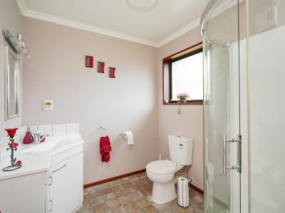 22 Craig Street, Waikiwi