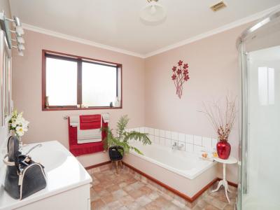 22 Craig Street, Waikiwi