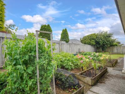 22 Craig Street, Waikiwi