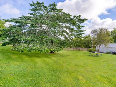 51 Sinclair Road, Browns