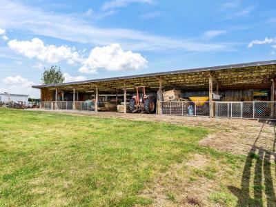 65 Racecourse Road, Winton