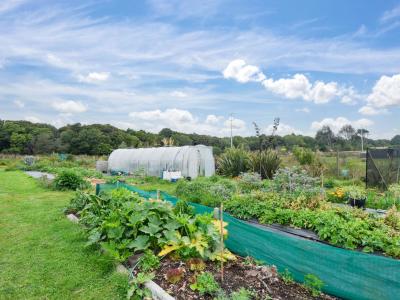 193 Mason Road, Seaward Bush