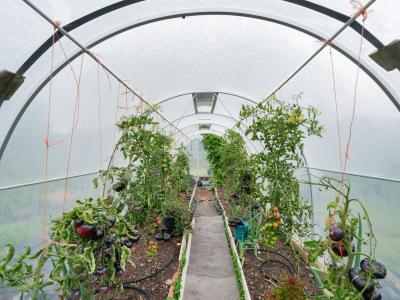 193 Mason Road, Seaward Bush