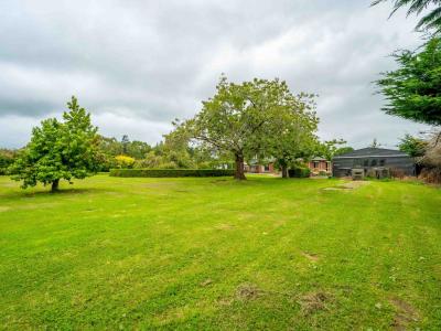 490 McQuarrie Street, Tisbury