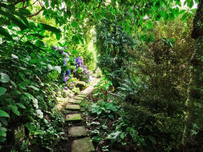 1579 Tokanui-Gorge Road Highway, Fortrose