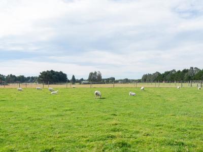 44 Short Road, West Plains