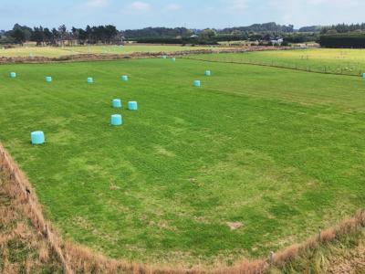 35-dairy-way-seaward-bush