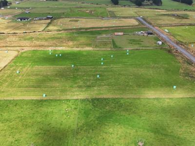 35-dairy-way-seaward-bush