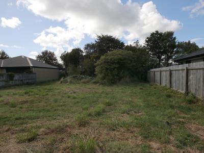 61a-ward-street-waverley