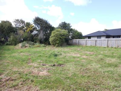 61A Ward Street, Waverley