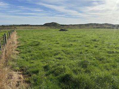 116-mokomoko-road-omaui