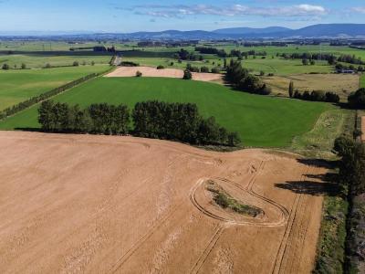 9-wairio-church-road-otautau