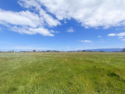 864-papatotara-road-papatotara