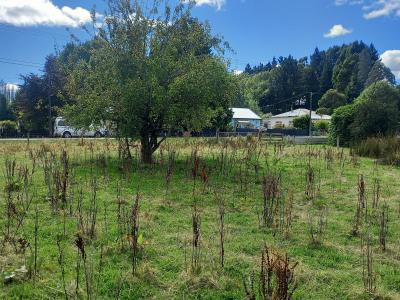 15-ettrick-street-nightcaps