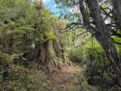 15-excelsior-road-stewart-island