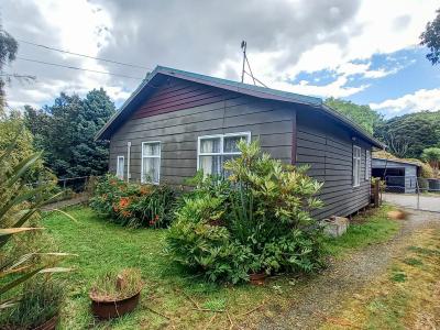 14-half-mile-road-tuatapere