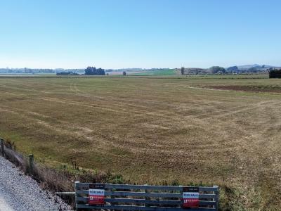 62d-springfield-road-totara