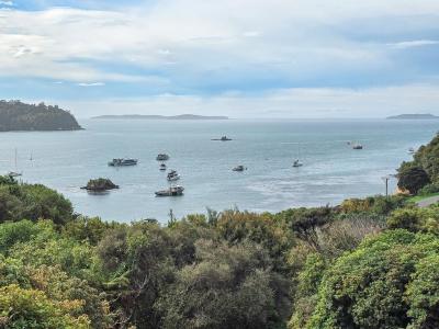 14-kaka-ridge-road-stewart-island