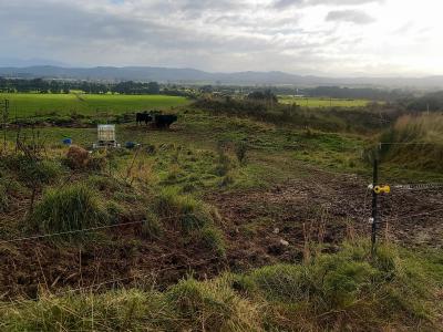 1570-tuatapere-orepuki-highway-tuatapere