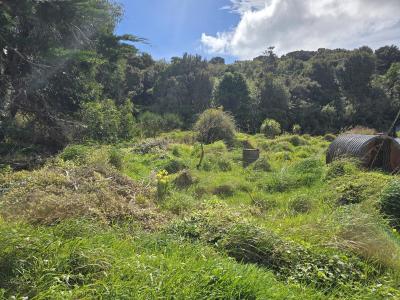 22-and-24-main-road-stewart-island