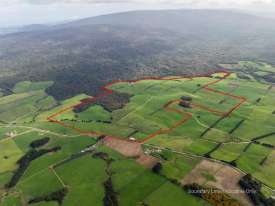 963-centre-road-waipango
