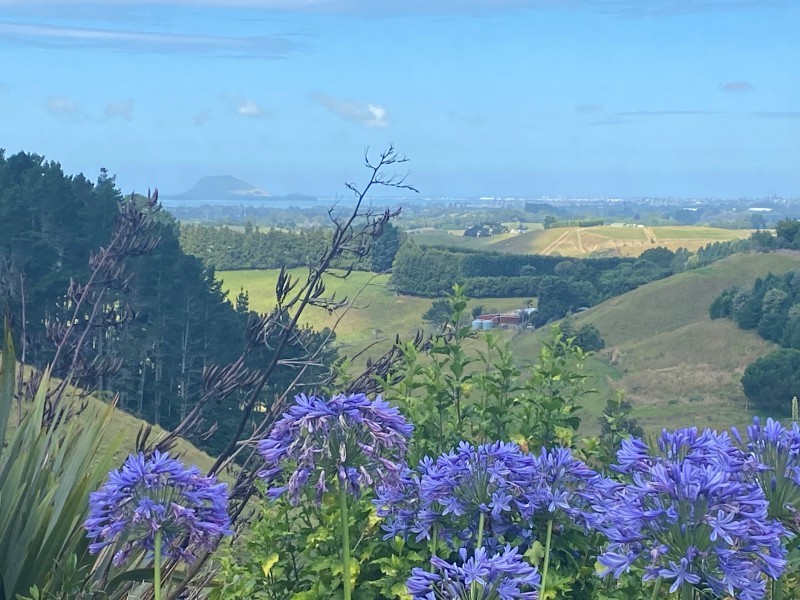 236-waipapa-block-road-whakamarama