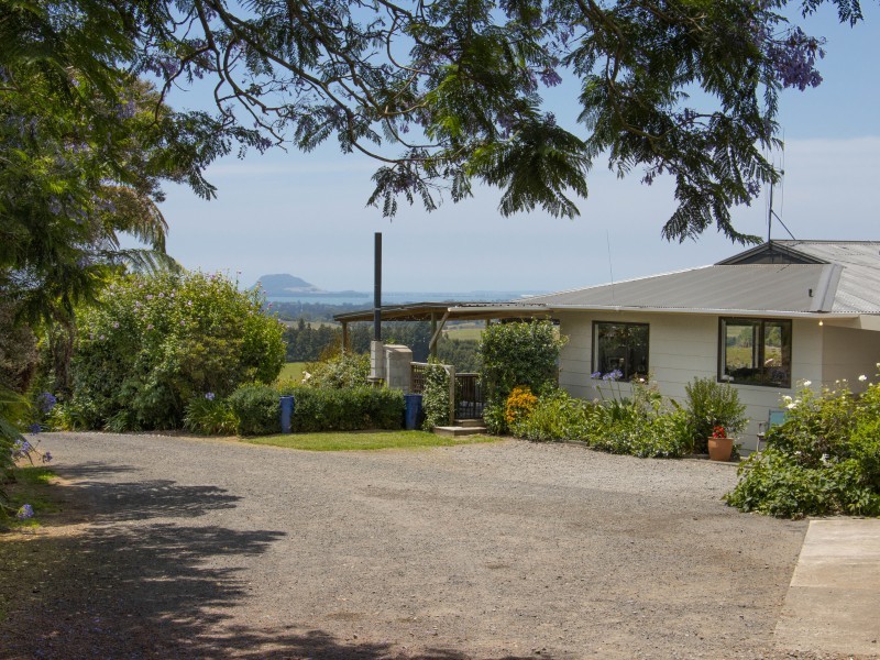 236-waipapa-block-road-whakamarama