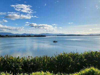 23c-kings-avenue-matua