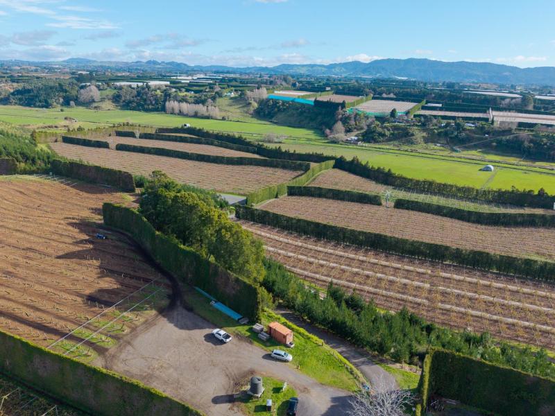 102a-and-b-huse-lane-rangiuru