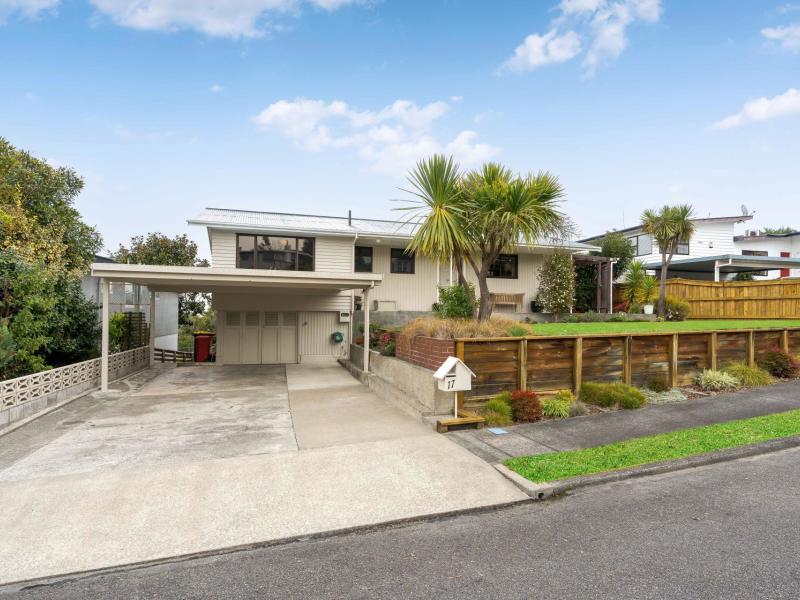 17-puriri-crescent-masterton