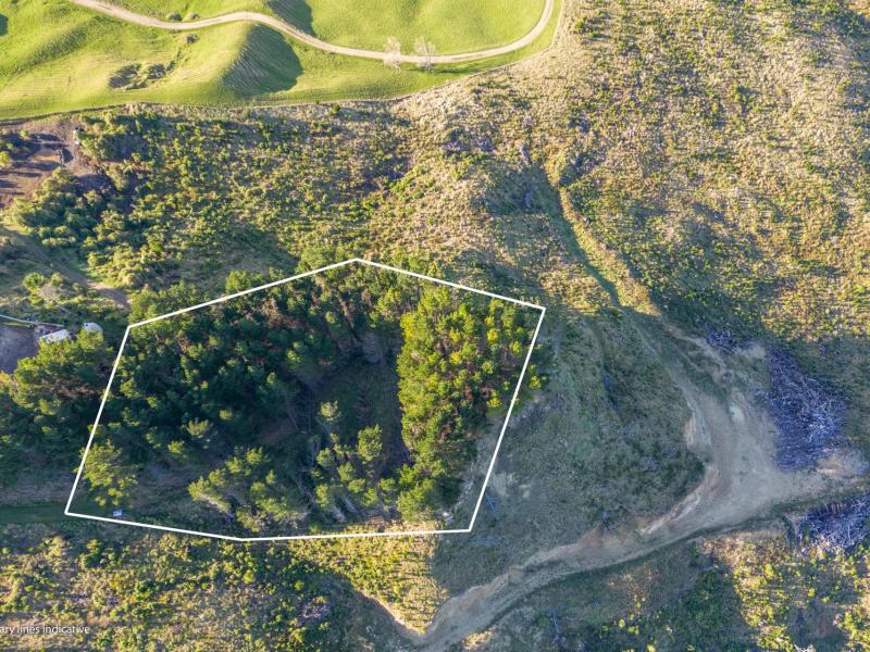 1165c-cooks-tooth-road-porangahau