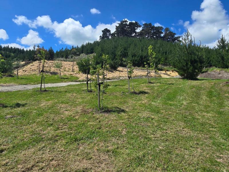 201-admiral-road-carterton