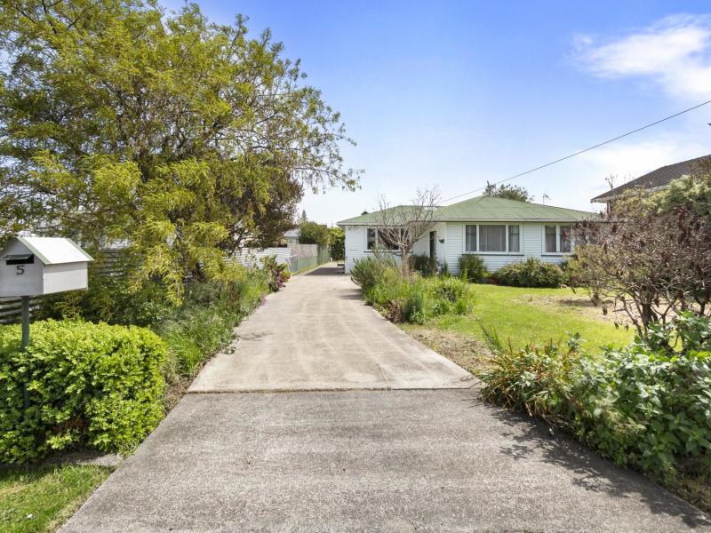 5-hammond-street-bulls