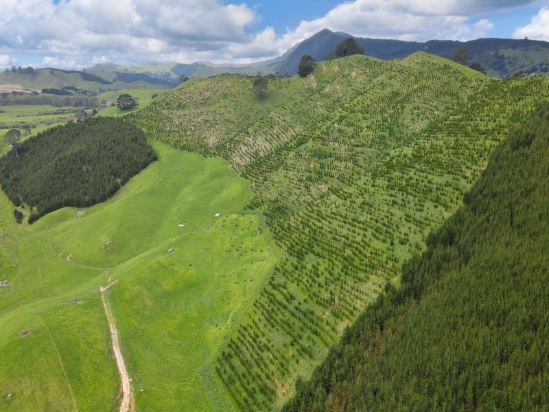 lot-2-te-kopia-road-waikite-valley