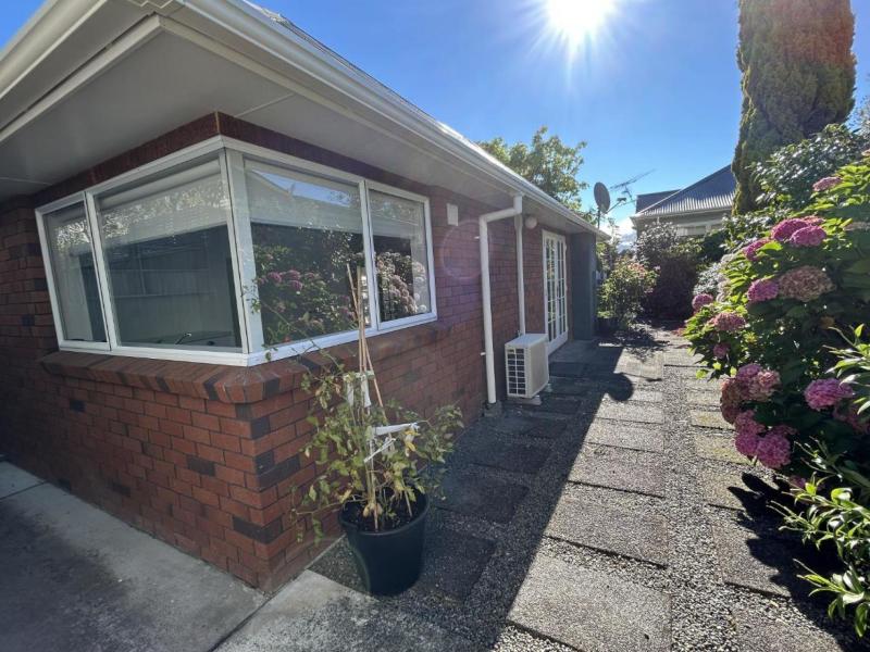 15-second-street-masterton