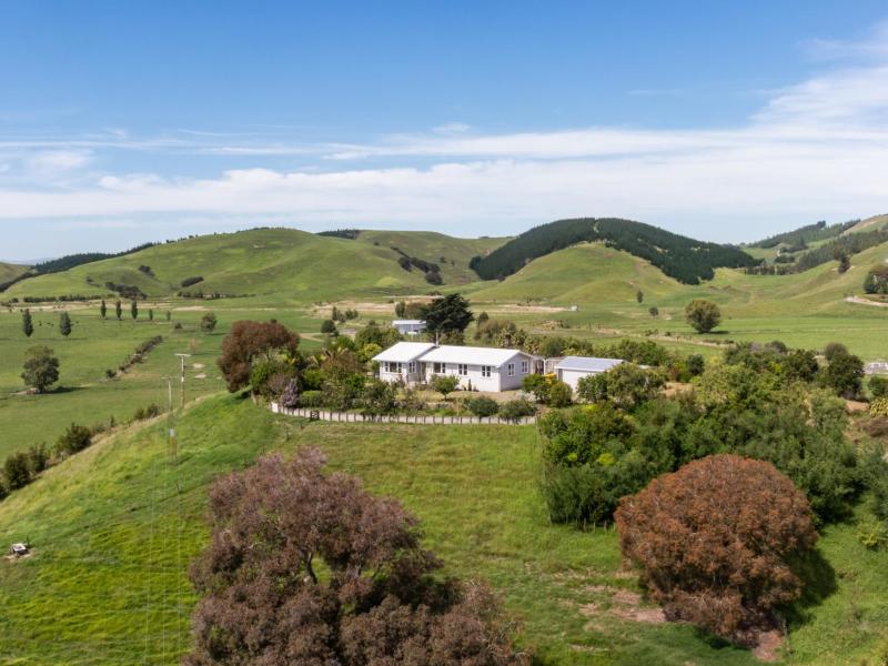 246-seafield-road-eskdale