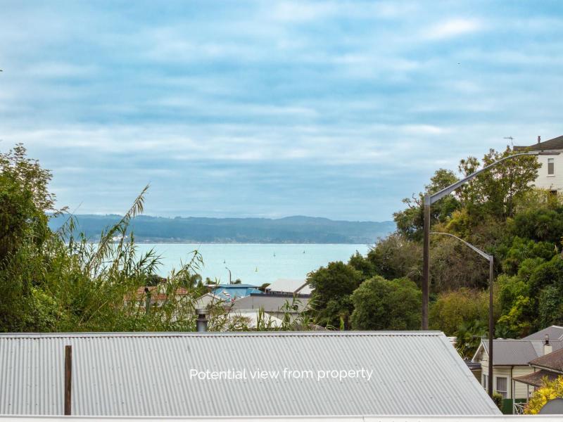 118-shakespeare-road-bluff-hill