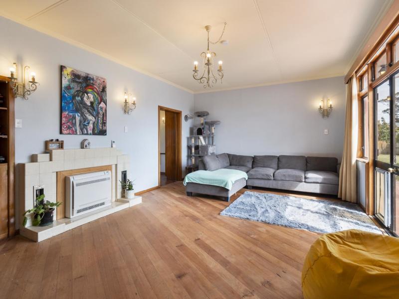 33-daniell-street-bulls