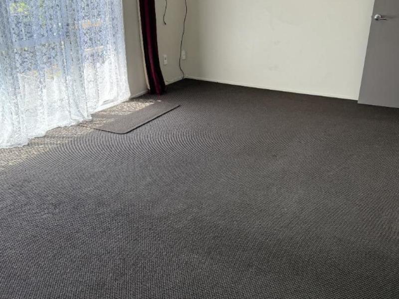 apt-3-29-scannell-street-tauhara