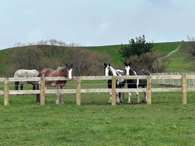 19-black-road-ashley-clinton