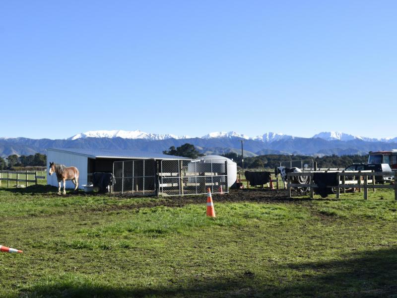 19-black-road-ashley-clinton