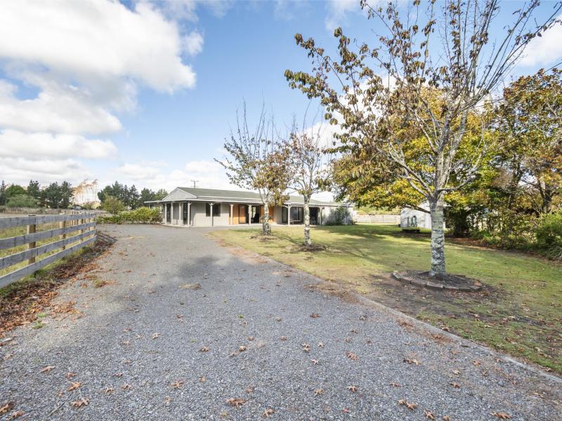 363-brandon-hall-road-bulls