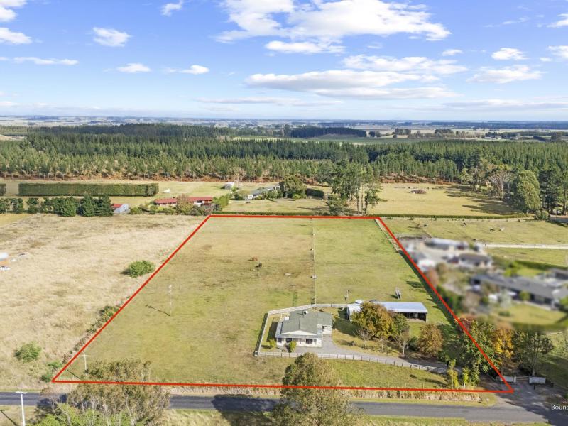 363-brandon-hall-road-bulls