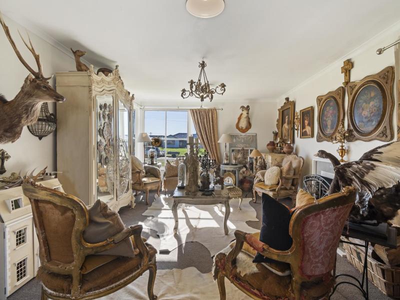 47-taumaihi-street-bulls