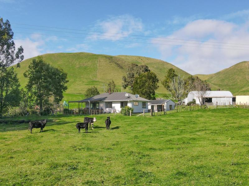 618-te-weta-road-waikite-valley