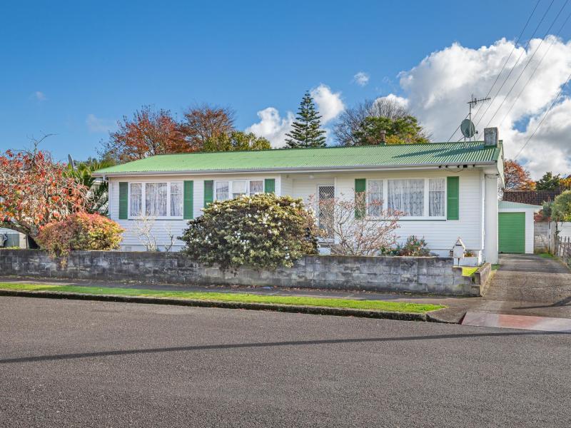 19-green-avenue-levin