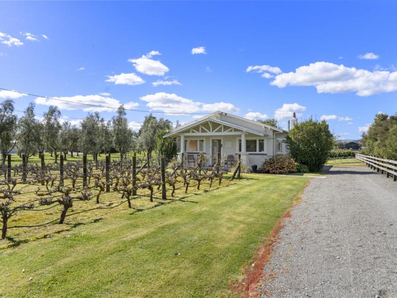 49-oxford-street-martinborough