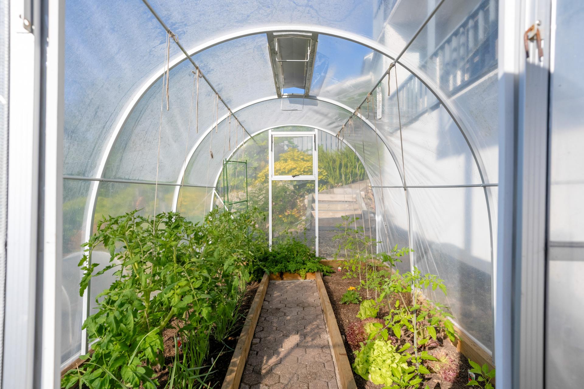 133 Bruce Wallace Place, Whangamata